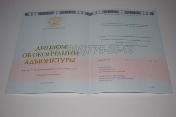 Диплом Адъюнктуры 2023г в Бийске